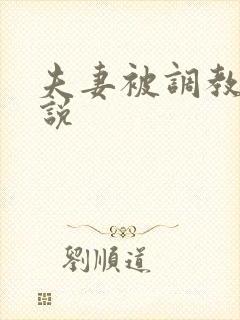 夫妻被调教的小说封面