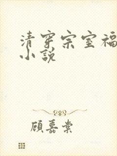清穿宗室福晋的小说