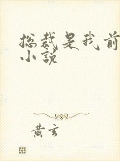 总裁是我前女友小说