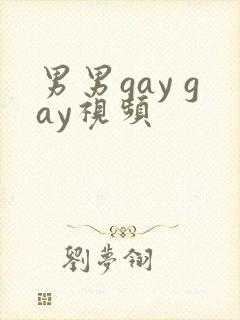 男男gay gay视频