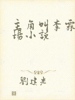 主角叫李霖的官场小说