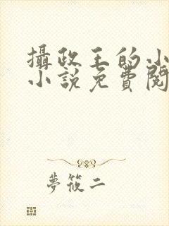 摄政王的小闲妻小说免费阅读