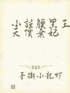 小说腹黑王爷的天价弃妃