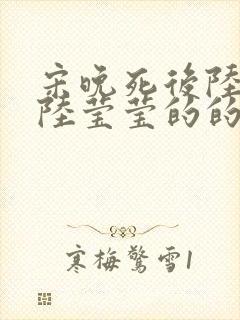 宋晚死后陆叙白陆莹莹的的最终结局