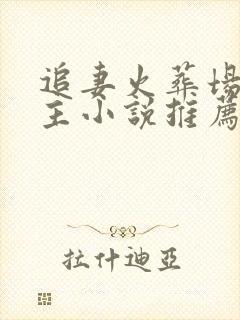 追妻火葬场双男主小说推荐