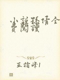 小说孙倩全文免费阅读