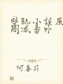 双轨小说原著未删减番外封面
