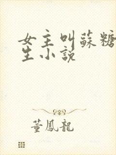 女主叫苏糖的重生小说