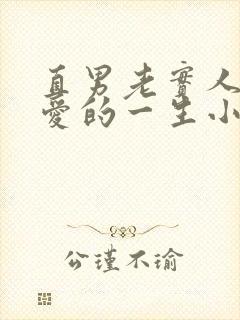 直男老实人被疼爱的一生小说