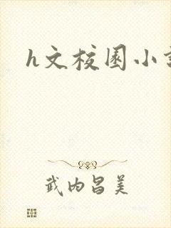 h文校园小说