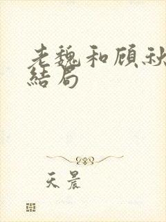 老魏和顾秋妍的结局