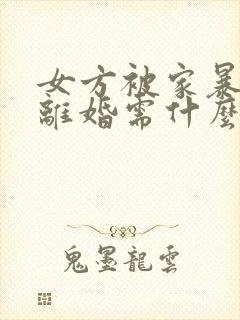 女方被家暴起诉离婚需什么证据封面