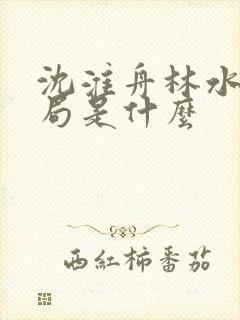 沈淮舟林水伊结局是什么封面