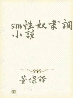 sm性奴隶调教小说