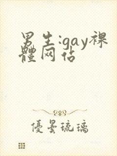 男生:gay裸体网站封面