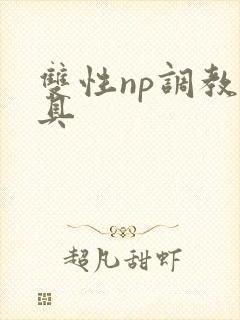 双性np调教道具