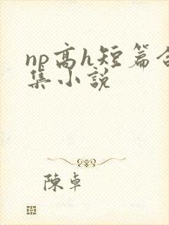 np高h短篇合集小说封面