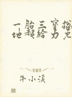 一胎三宝总裁爹地超给力免费阅读