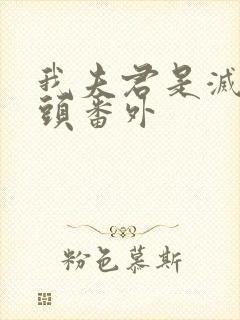 我夫君是灭世魔头番外