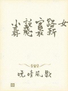 小说官路女人香聂飞最新