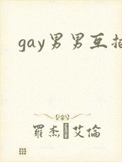 gay男男互插