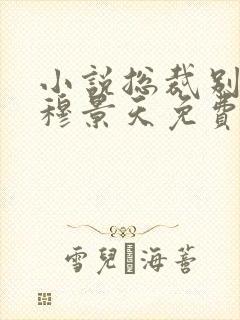 小说总裁别太坏穆景天免费阅读