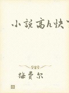 小说高h快穿