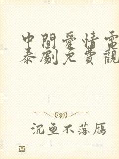 中间爱情电视剧泰剧免费观看全集封面