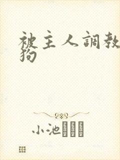被主人调教成母狗
