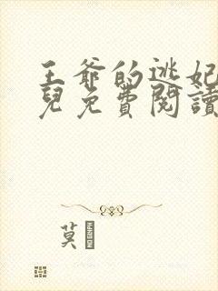 王爷的逃妃齐水儿免费阅读封面