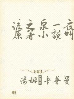 流之泉一夜风情原著小说叫什么名字