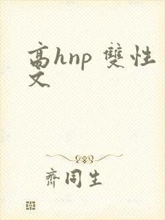 高hnp 双性文