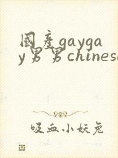 国产gaygay男男chinese