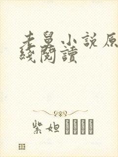老舅小说原著在线阅读