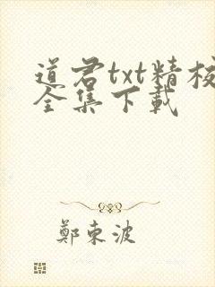 道君txt精校全集下载
