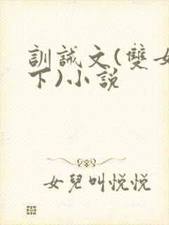 训诫文(双女年下)小说封面