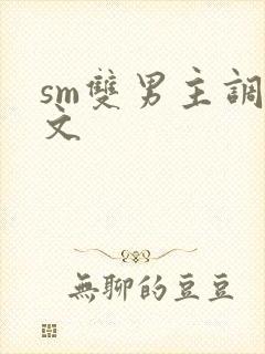 sm双男主调教文