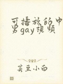 可播放的中国男男gay视频