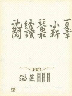沈绣琴小夏全文阅读最新章节