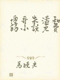 傻哥朱涛和婷婷的小说免费阅读封面