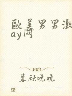 欧美男男激情gay网