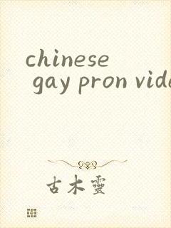 chinese gay pron videos