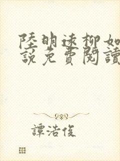 陆明远柳如烟小说免费阅读最新章节封面