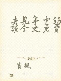 去见年少的你小说全文免费阅读封面