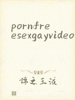 pornfreesexgayvideo