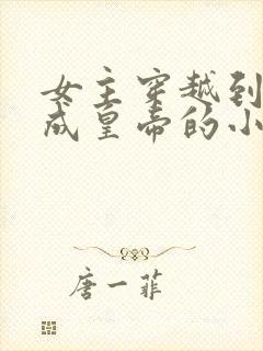 女主穿越到古代成皇帝的小说封面