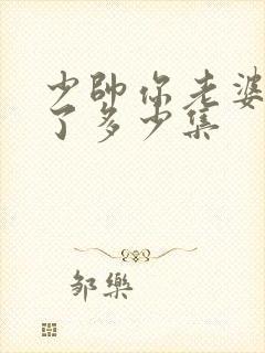 少帅你老婆又跑了多少集