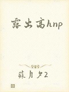 露出高hnp封面