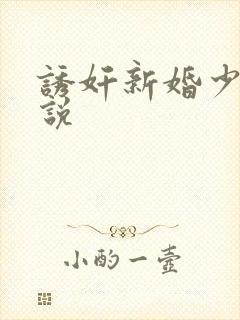 诱奸新婚少妇小说