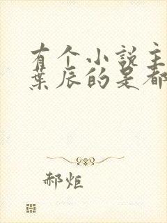 有个小说主角叫叶辰的是都市什么小说封面